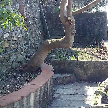 Casa Picasso Lägenhet