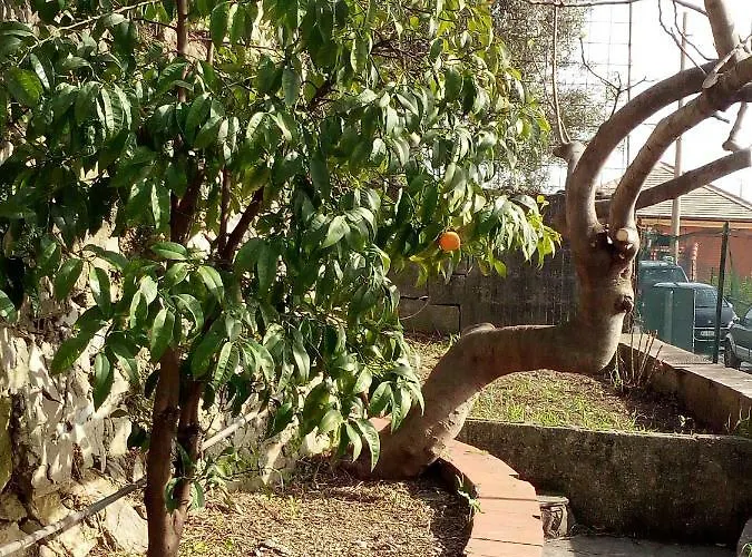 Appartement Casa Picasso *