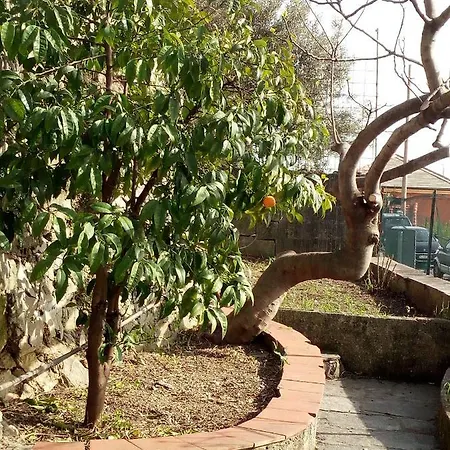 Lejlighed Casa Picasso *