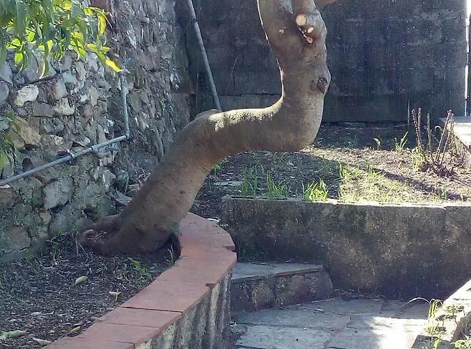 Casa Picasso Lejlighed