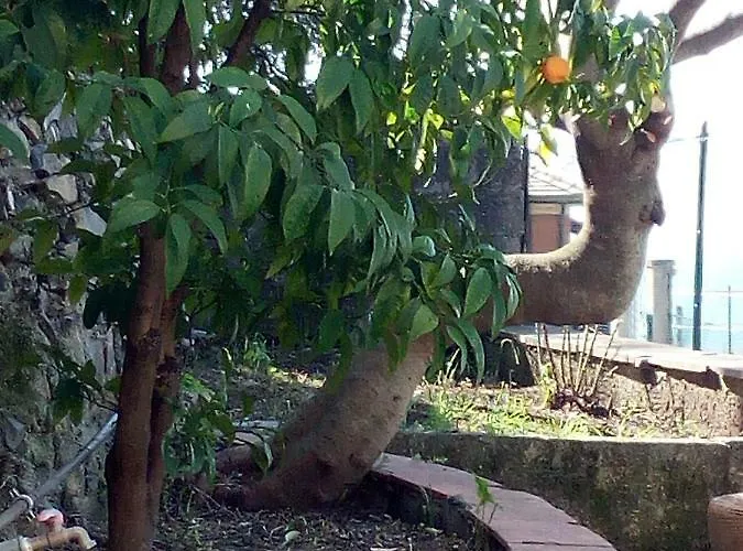 Casa Picasso Lejlighed